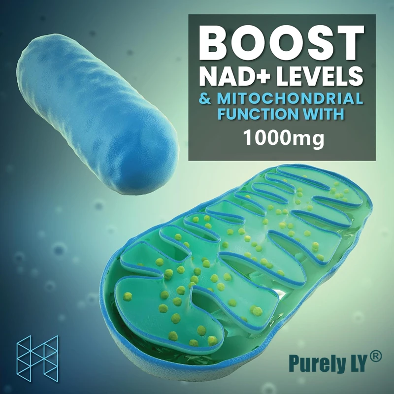 100% N a d + B o o s t e r, Anti Aging