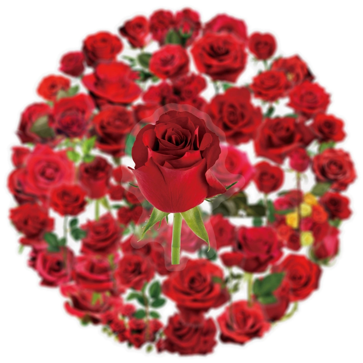 50/200PCS Transparente PET Blume Pflanzen Material Aufkleber Handbücher Tablets Telefon Wasser Tassen Dekor Stationäre Notebook Aufkleber