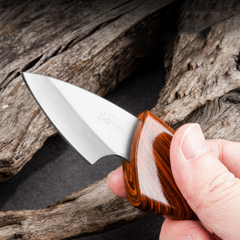Mini cuchillo de fruta para desmontaje al aire libre, cuchillo portátil para delfines pequeños y gordos, cuchillo exprés para acampar, afilado de alta dureza