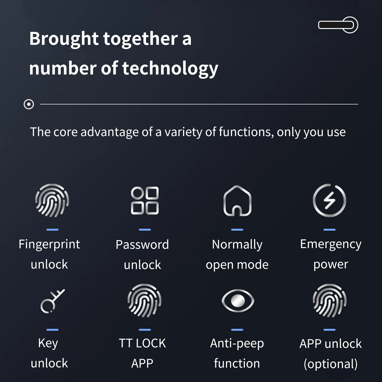 Fingerabdruck-Türschloss 3in1 Biometrisches Passwort APP Hebelgriffschloss (Schwarz)