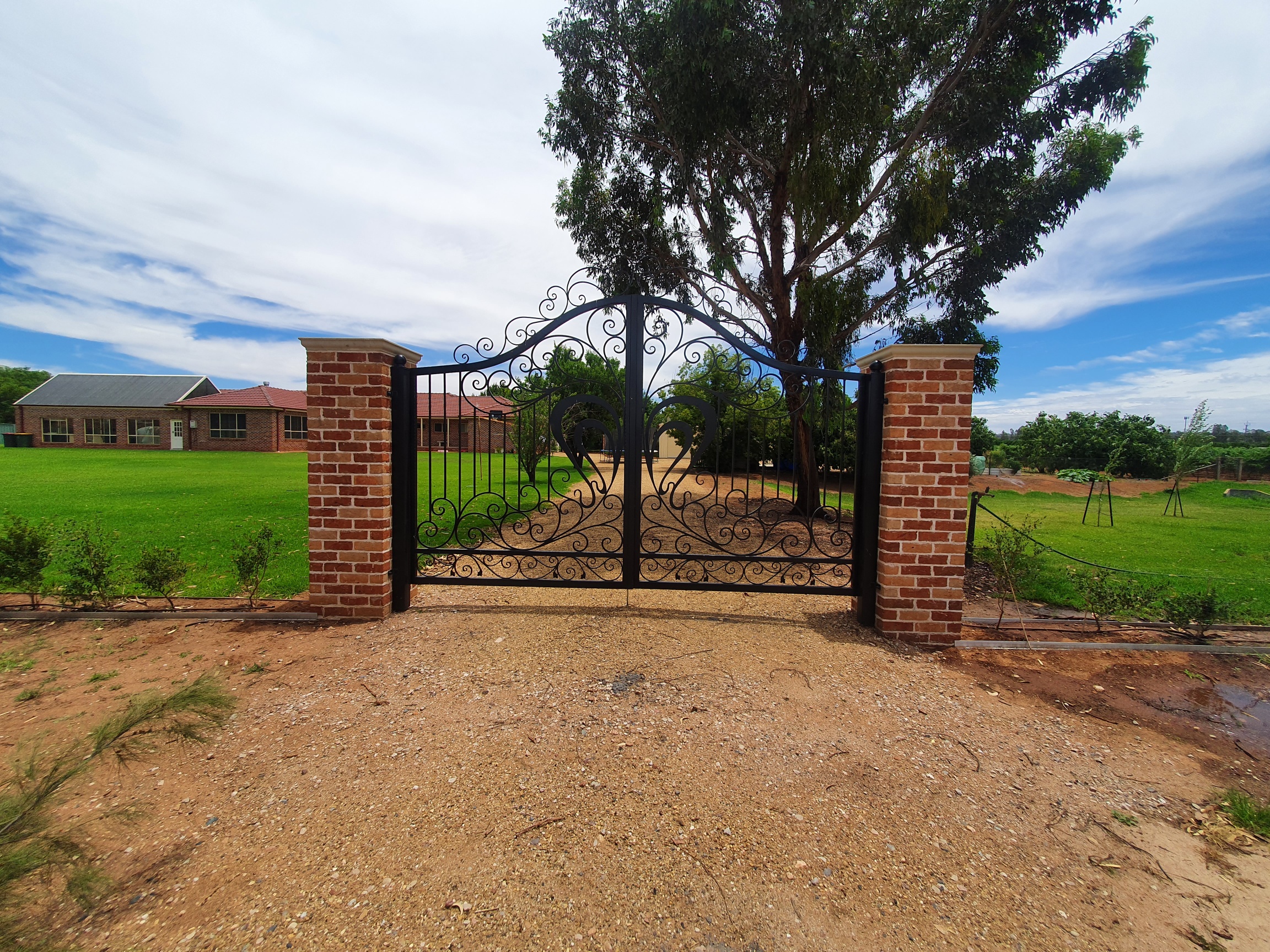 Кованые железные двери hтаблице, дизайн с двойной панелью и стеклом, доставка в австралийский дом hc-1