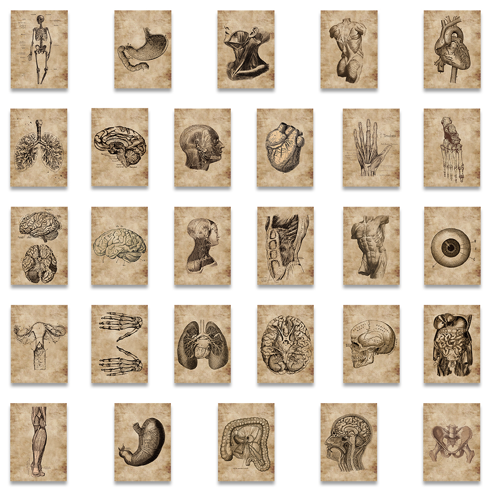 56 pçs criativo anatomia humana fisiologia coração crânio órgãos internos adesivo esqueleto graffiti adesivos bagagem portátil adesivo