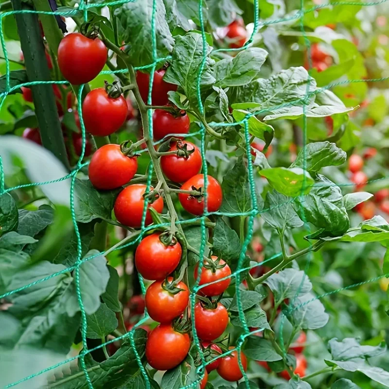 Pergolas de enrejado de plantas, red de cultivo de poliéster resistente, red de enrejado de jardín con malla cuadrada para plantas trepadoras, verduras,