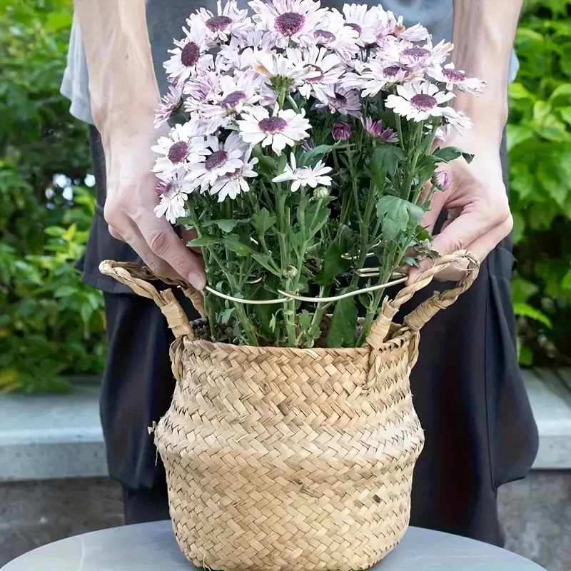 1 pezzo grande supporto per piante sospese, ganci in ferro, adatto per la decorazione di vasi da fiori, uso interno ed esterno