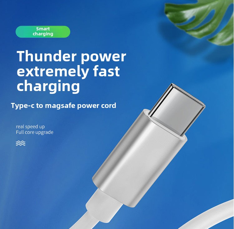 Câble de charge rapide type-c vers Magsafe2 macbook tête en T magnétique pour MacBook Air / Pro 65W 110W