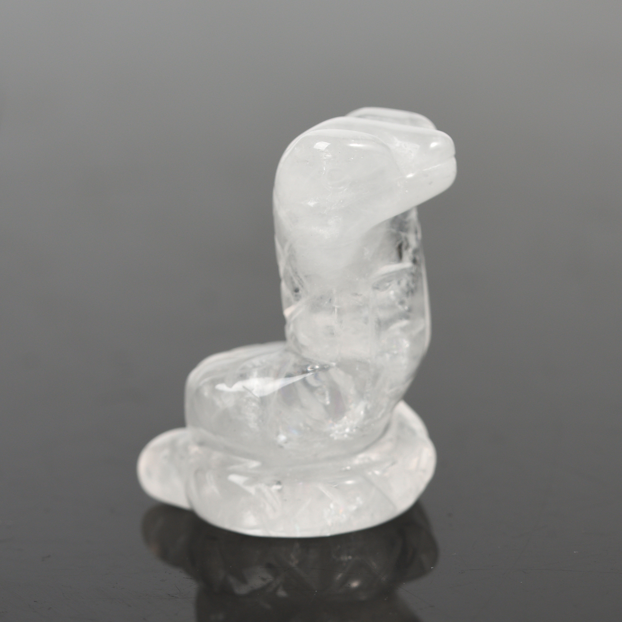 Kristallen slangengravures