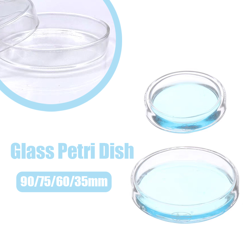 Equipo de química de laboratorio de vidrio de 90/75/60/35mm, placas de Petri de vidrio transparente, celda estéril