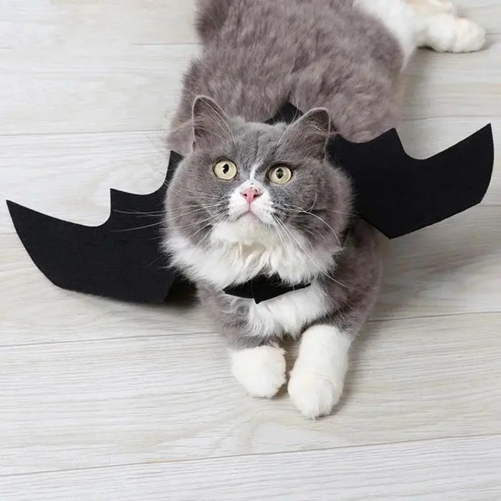 Halloween Bat Wing Costume for Pets, Puppy Collar Leads Cosplay Bat Costume, Halloween Party Decoration