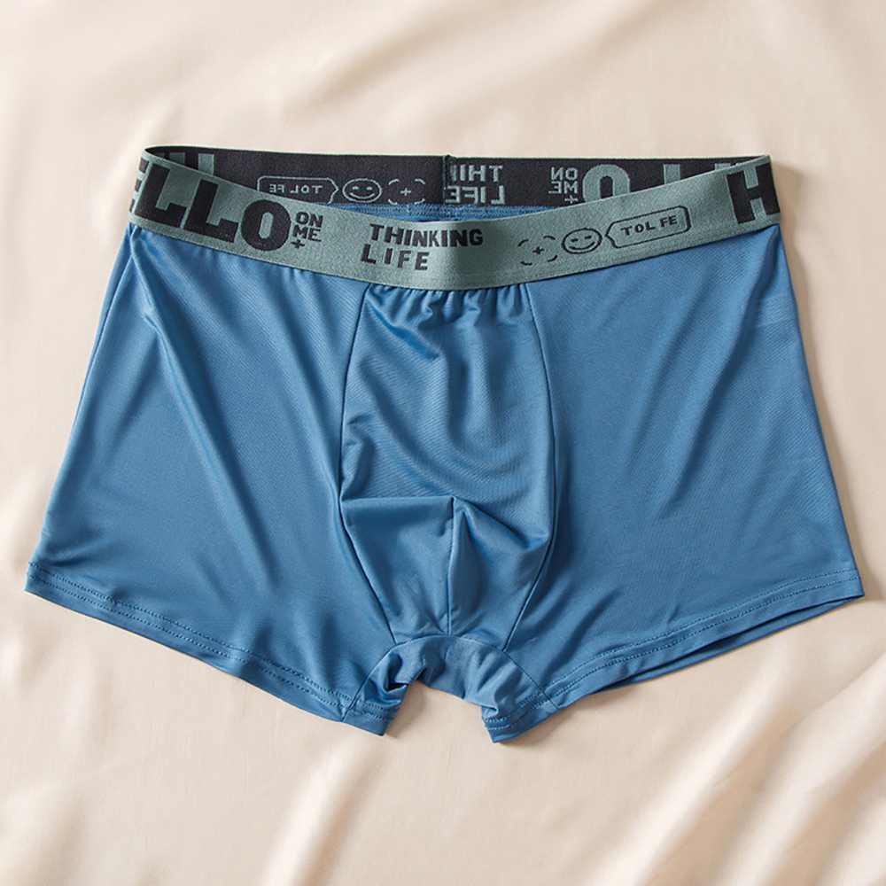 5 stücke Boxer Shorts Eis Seide männer Unterwäsche Sommer Atmungsaktive Unterhose U Konvexen Dessous Atmungsaktive Sexy Höschen