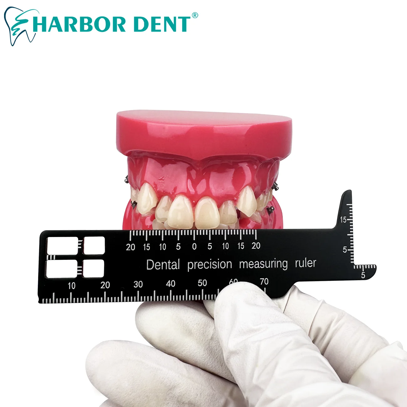 1Pc Dental Precision Measuring Ruler Tooth Gap Photography Medical Tool Span Measure Scale Endodontic Instruments
