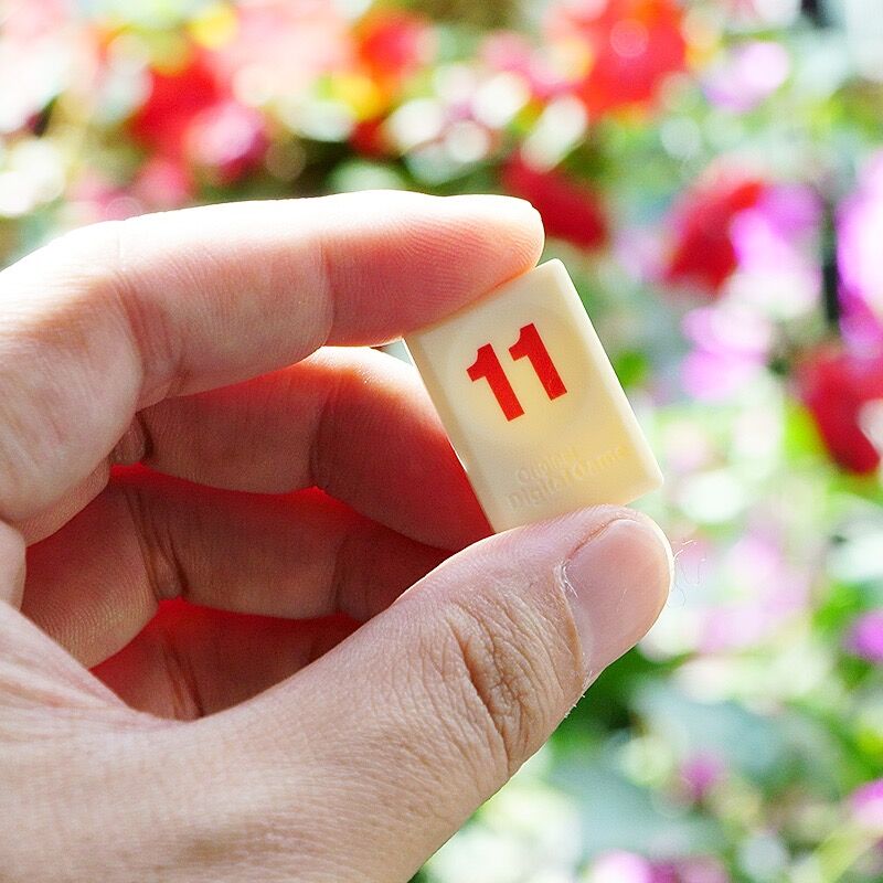 イスラエル高速移動タイルクラシックボードゲーム 2-4 人イスラエル麻雀デジタルゲームホームゲームファミリーパーティーゲーム旅行バージョン