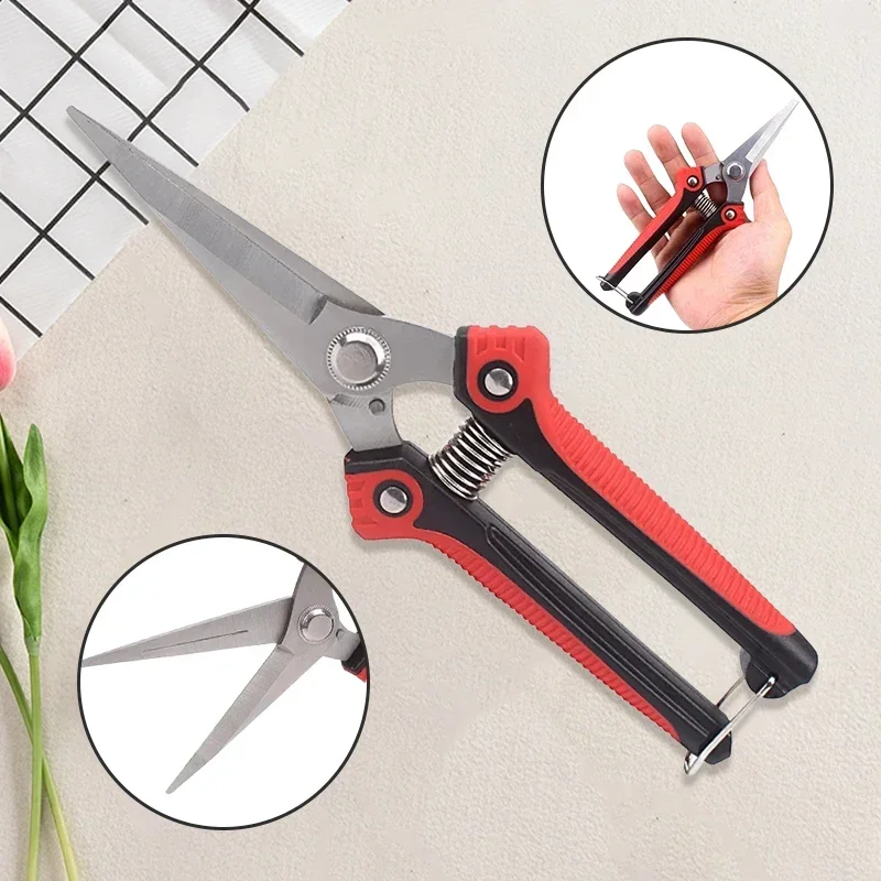 Stainless Steel Pruning Shears Sharp Branch Scissors with Non Slip Handle for Garden Fruit Tree Trimming Tools