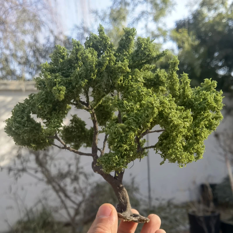 15CM Fine Model Wire Tree high quality train railroad layout Miniature Green Tree Model Landscape Military Sand Table Material