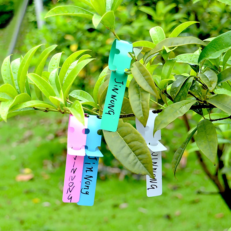 50-100 Uds marcadores de plantas impermeables etiquetas colgantes de plantas de plástico herramientas de etiquetas marcadoras de plantas de jardinería suministro de macetas y maceteros de jardín