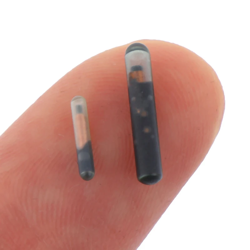Etiqueta RFID Animal con microchip, 125KHZ/134,2 KHZ, 2,12x12mm/1,25x7mm, con Chip EM4305, ISO11784/5 FDX-B para identificación de peces, perros y gatos