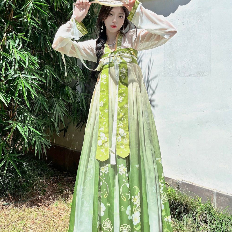 Ensemble de robe Hanfu de style chinois pour femmes, costume de cosplay, nickel é, robe traditionnelle de la dynastie Tang, robes de danse princesse vintage