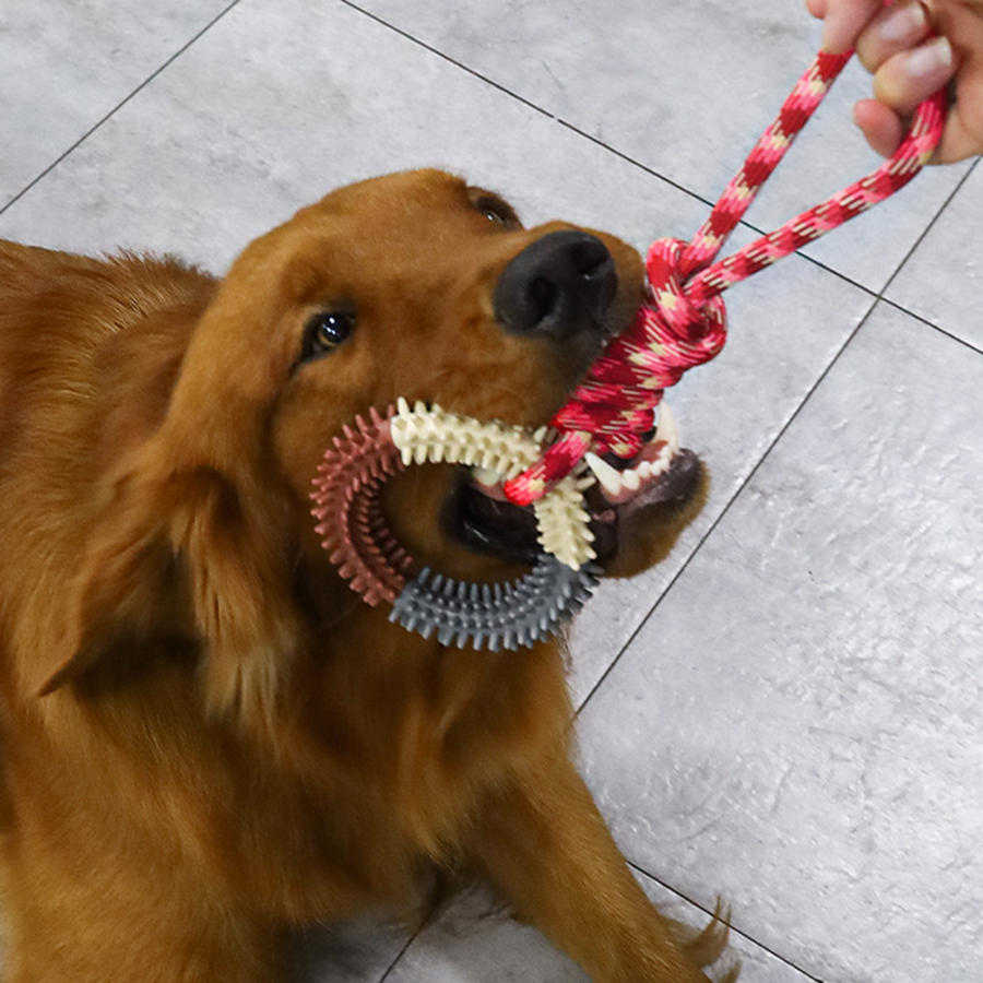 Juguete de cuerda de algodón antimordida para moler dientes de perro, juguete de nudo tejido colorido para mascotas, juguete divertido para perros