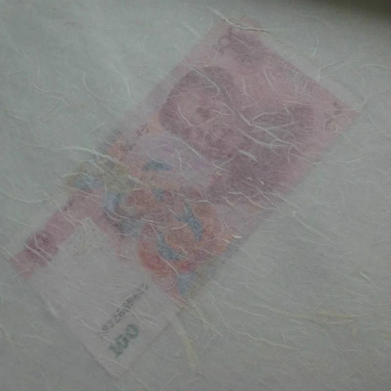 Mulberry Faser Reis Papier Papel Chinesische Yunlong Faser Xuan Papier Scheinenden Langen Faser Xuan Zhi Kalligraphie Malerei Papier