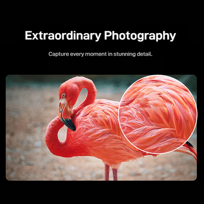 Global Version Nubia V70 Z2459 8+256GB Sunshinegold/Glaciergreen/Stardustgray【One-year warranty】