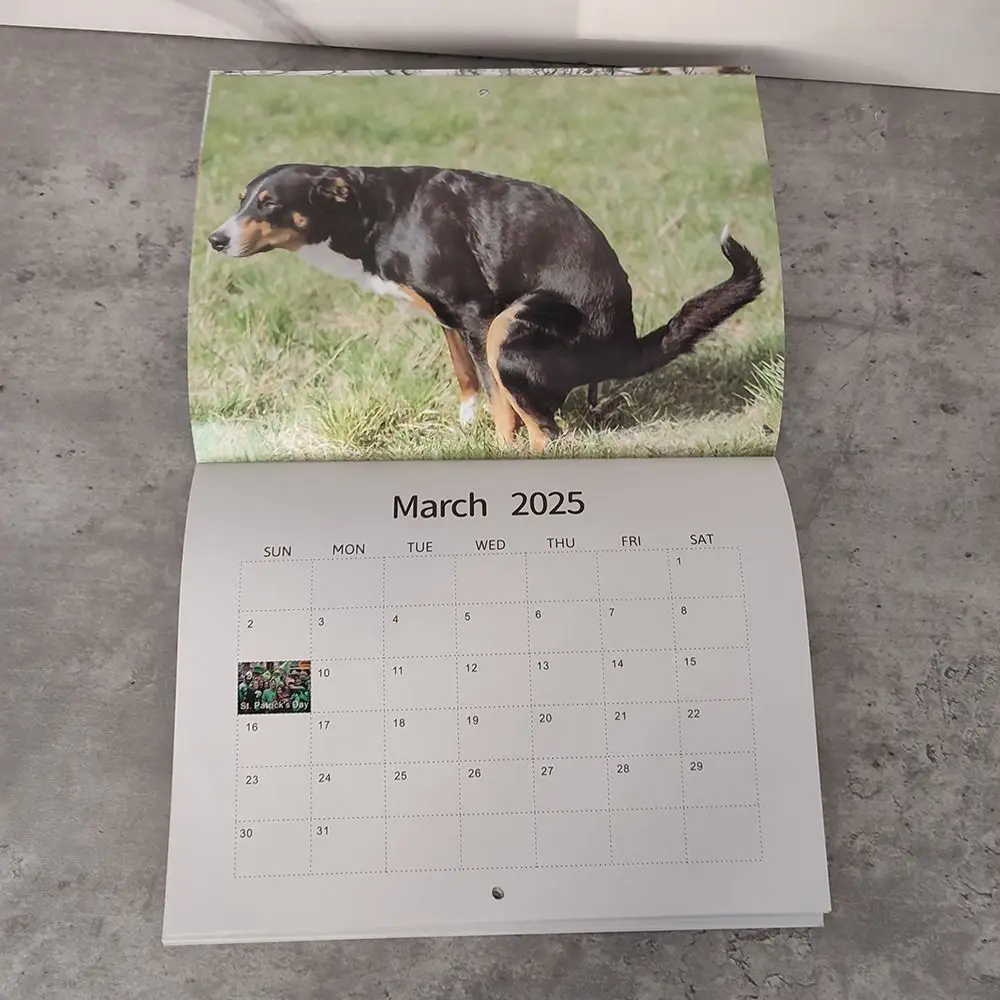 Calendario de pared de perros divertidos, planificador diario semanal mensual, creativo, regalo de escritorio divertido, 2025