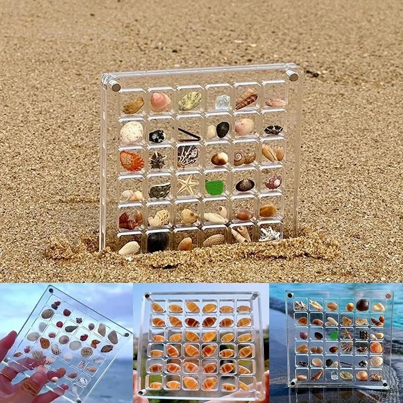 Hoge kwaliteit acryl schelp displaydoos met magneten Duurzame zeesterren Trinket opbergdoos voor kraal nagel sieraden cadeau