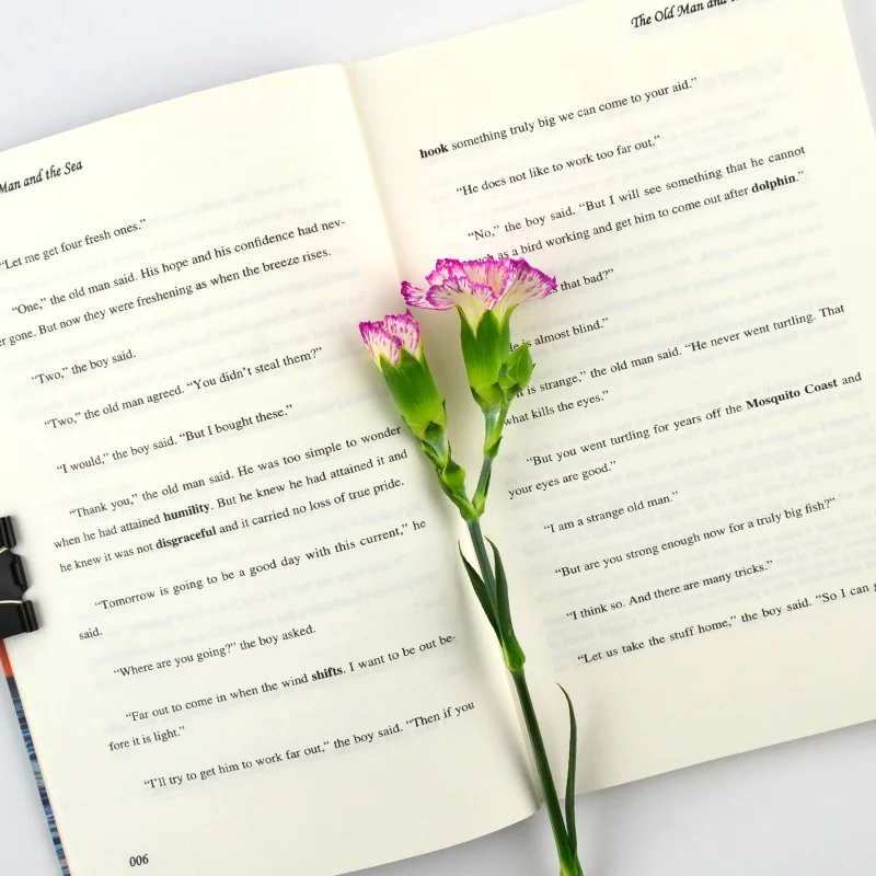 Der alte Mann und das Meer von Ernest Hemingway World, klassische literarische Romane, englisches Buch, Taschenbuch