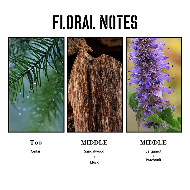 Women's Perfume Lasts For A Long Time Releases Charm Natural And Refreshing Releases Pheromone For Men And Women's Dating 4ml