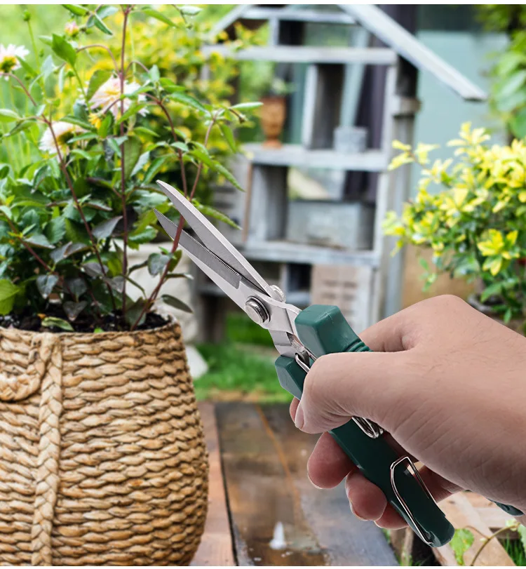 Tijeras de podar de cabeza recta, mango antideslizante, herramientas manuales de acero inoxidable, tijeras de jardín para bonsái domésticos, tijeras de podar