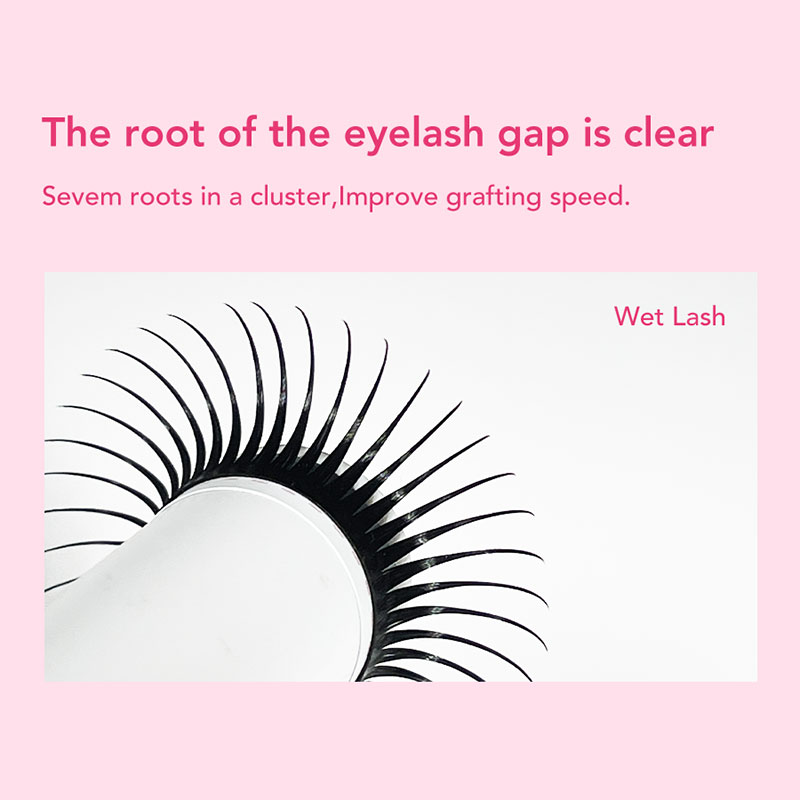 DIYDAY 5D Fairy Lashes Spikes Wet Lashes Cluster Premade Fans 5D Flora Mink False Eyelashes for Makeup