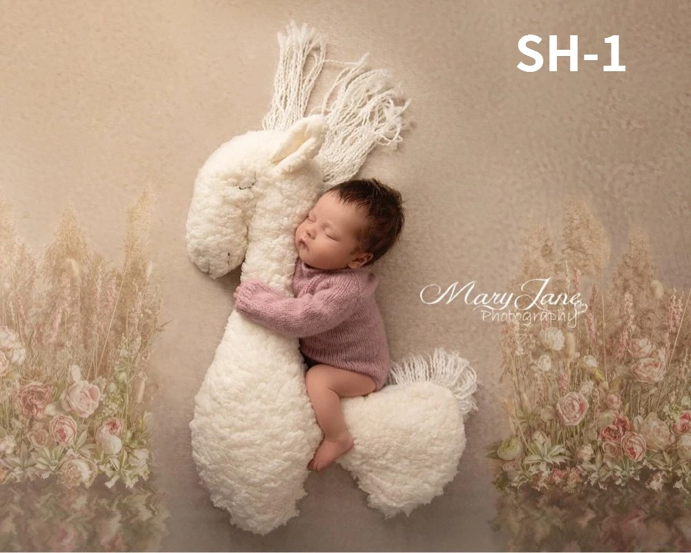 Sơ Sinh Đạo Cụ Chụp Ảnh Thảm Tạo Dáng Gối Đệm Chăn Phông Nền Chụp Hình Studio Chụp Ảnh Thảm Ngựa Dễ Thương Sang Trọng Búp Bê