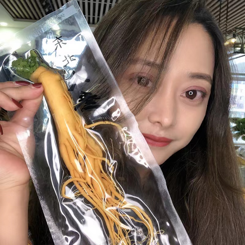 Adorno para el hogar modelo de ginseng de simulación de ginseng de montaña Changbai de alta calidad