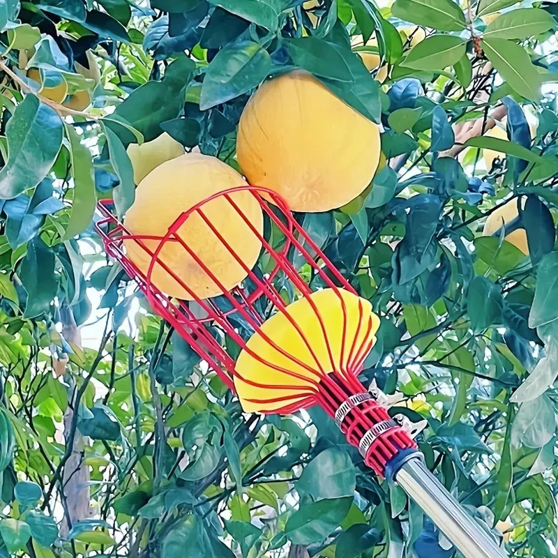 1PCS โลหะผลไม้ Picker เครื่องมือเบาะ,ที่ถอดออกได้สูง Orchard สวนอุปกรณ์, กรงเล็บเหล็ก Apple Pear Harvestin