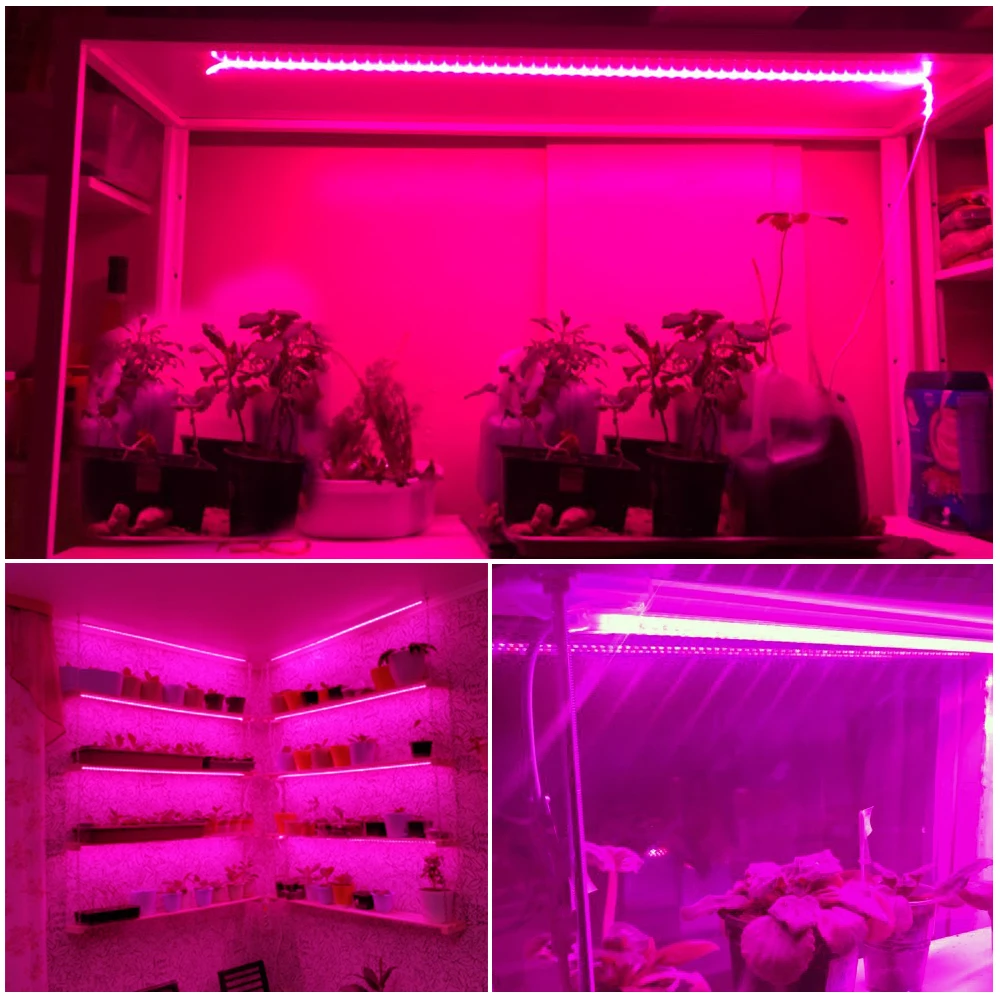 Grow Light Stripsเต็มสเปกตรัม 220V Phytoโคมไฟกันน้ําLEDแถบพืชสําหรับดอกไม้ต้นกล้าGrowเต็นท์Hydroponic 1-20M