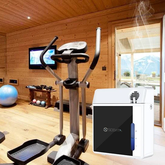 SCENTA Top Sale Electric Aroma Aromatherapy Essential Oil Diffuser,Private Label Scent Air Perfume Diffuser For Home