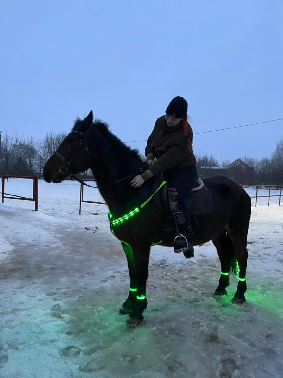 Arnés de caballo LED de nailon, equipo de equitación Visible nocturno, peto de caballo al aire libre, cinturón ecuestre de equitación de carreras duales