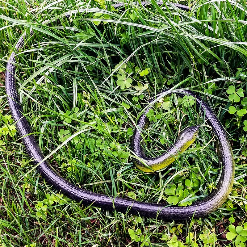 Fun Toy Snake simulation of soft rubber toys Artificial Snake Realistic Appearance Props Simulation False Snake Scary Toy