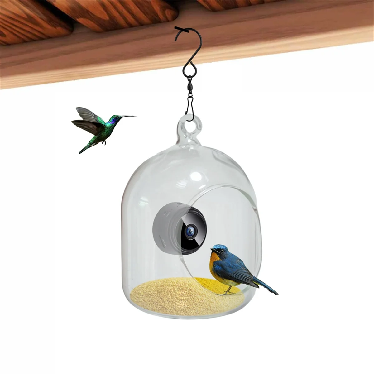 XFDE Bird Feeder with Camera Night-Version Video Camera Bird Feeder, WiFi Remote Connection Camera Bird Feeder with Phone