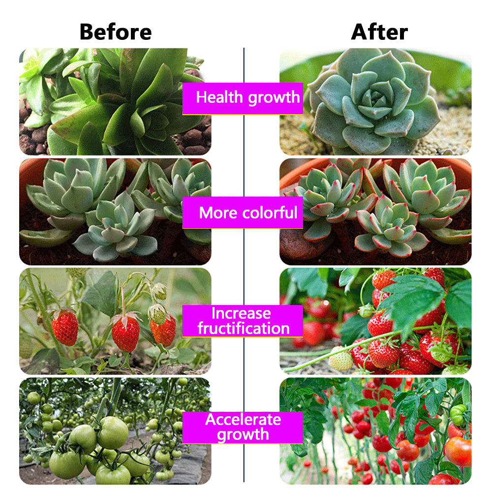 50W 220V Led élèvent la lumière plante lampe hydroponique LED spectre complet pour les graines de serre fleur hydroponique plante croissance éclairage