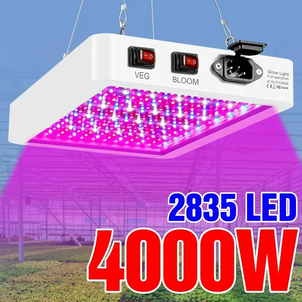 Lo más nuevo, luz LED de espectro completo de 4000/5000W, bombillas para plantas IP65, lámpara hidropónica, lámparas de invernadero, caja de iluminación para crecimiento de flores