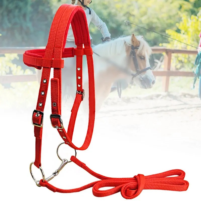 Halter de cavalo ajustável macio inverno garganta snap competição velo cavalo esportes brida equipamento de equitação cinto halter com bit