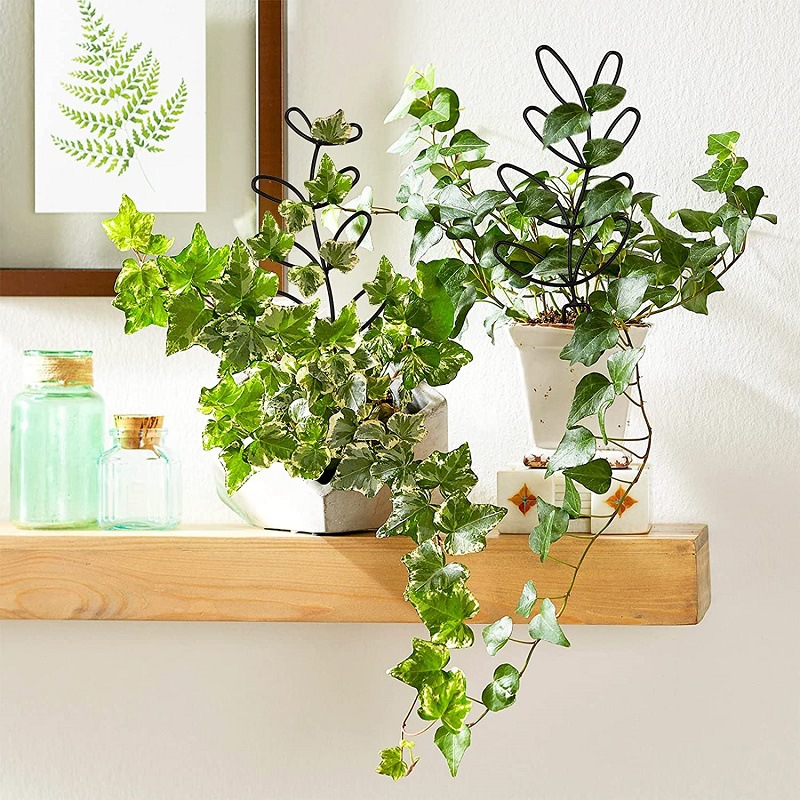 Decoration Indoor Outdoor Potted Ornament Garden Arrangement Plant Trellis Leaf Shape Bracket Vine Climbing Support