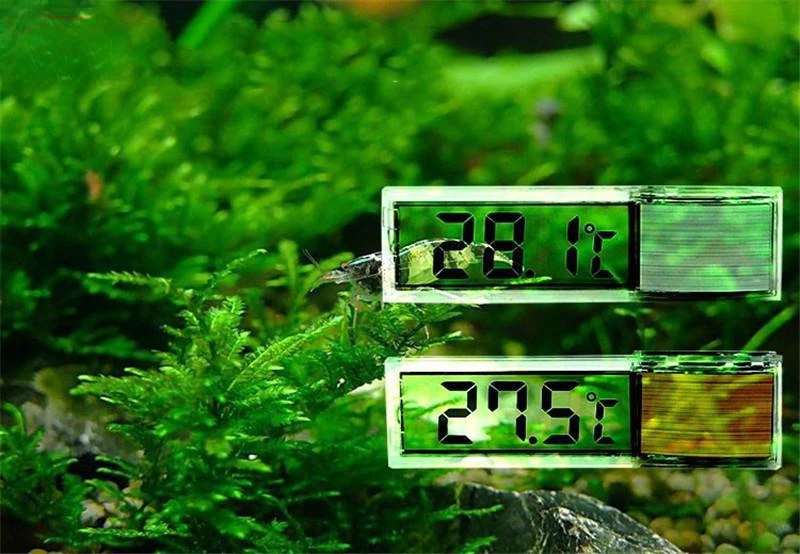 Therye.com-Mesureur électronique LCD numérique de la température des poissons, accessoires pour aquarium, 1 pièce
