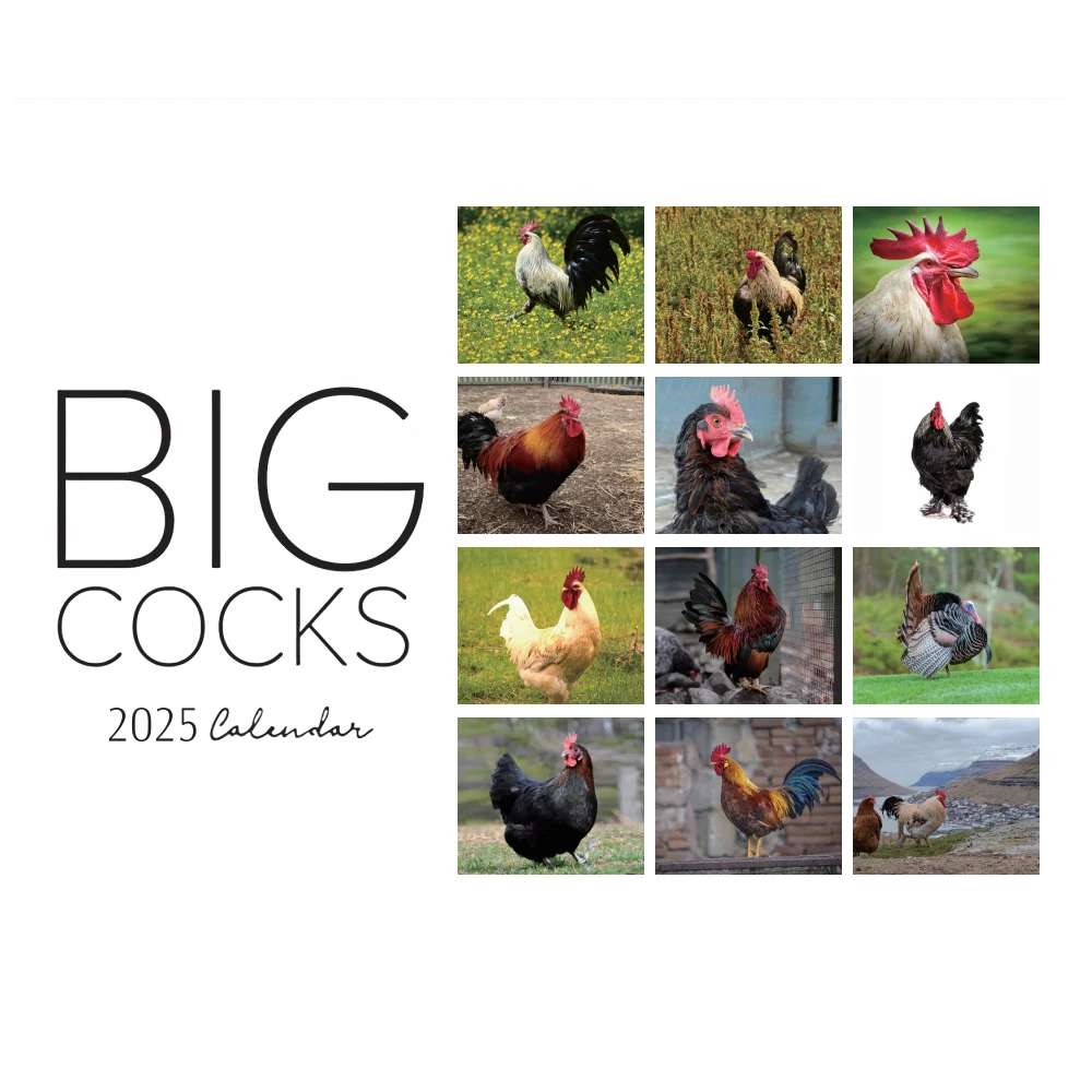 ปฏิทินไก่ใหญ่ปี 2025, การถ่ายภาพสัตว์ป่าที่สดใส, ปฏิทินติดผนัง 12 เดือน, ของตกแต่งบ้านสํานักงาน, ผู้ที่ชื่นชอบสัตว์, กระดาษ, E