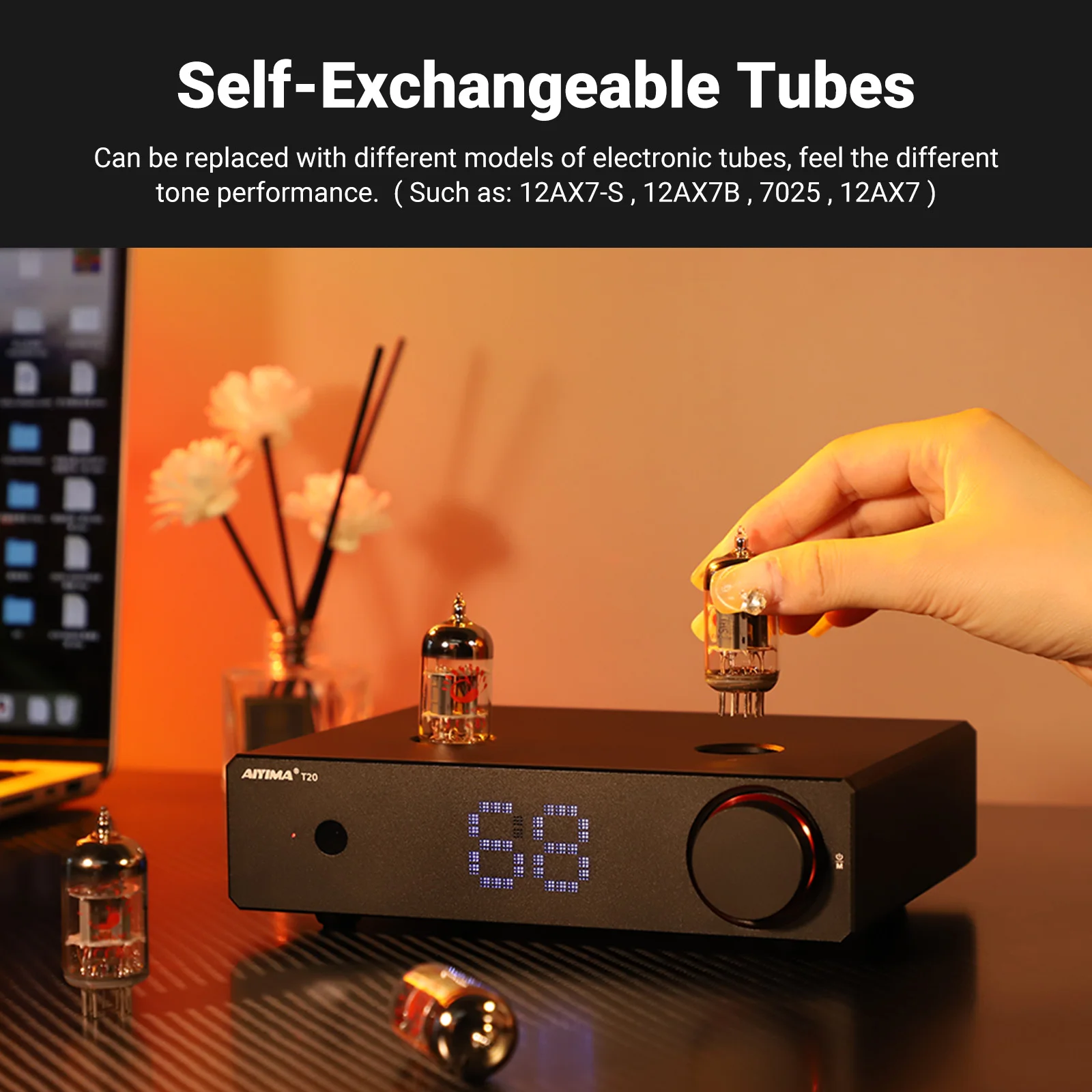AIYIMA T20 Vacuum Tube Preamplifier  ECC83 Fully balanced Preamp RCA  XLR Input HiFi Stereo DAC   AMP 12V  Trigger output