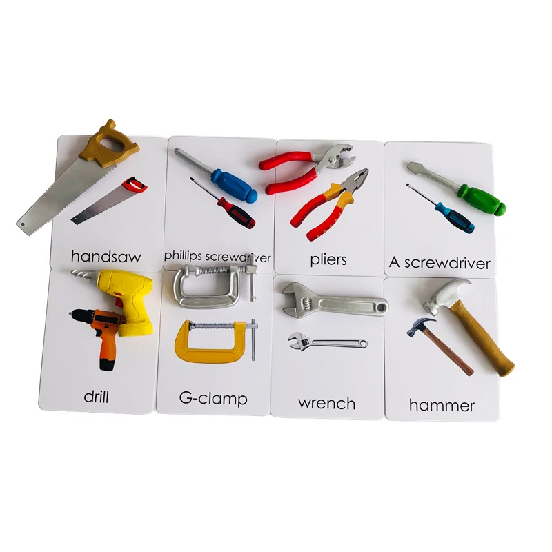 Montessori Language Materials Models of Human Ogran/ Handware Tool/ Instrument/ Flower W/ 3-Part Cards Kids Learning Resources