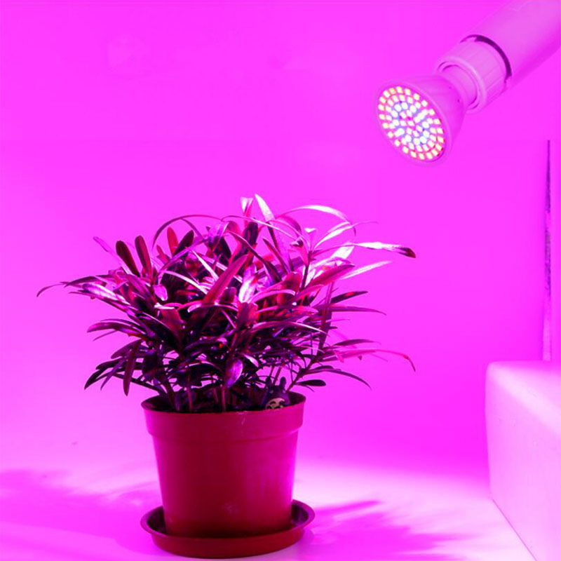 LED 植物成長ライトフルスペクトル花成長太陽光フィトランプ電球屋内フィトランプハイドログローボックステント照明