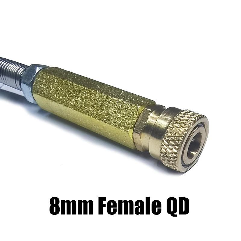Handpumpe Filter Wasser Öl Separator M10 * 1 Hochdruck Luftfilterung Zubehör