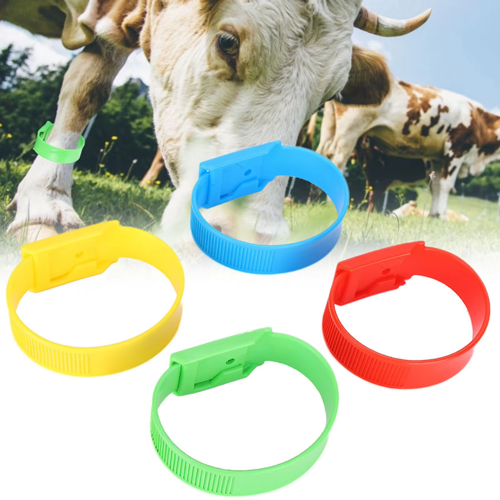 10/20 pçs faixas de identificação de vaca id coleiras bandas vaca gado pé anéis marcação anel suprimentos para fazenda gado