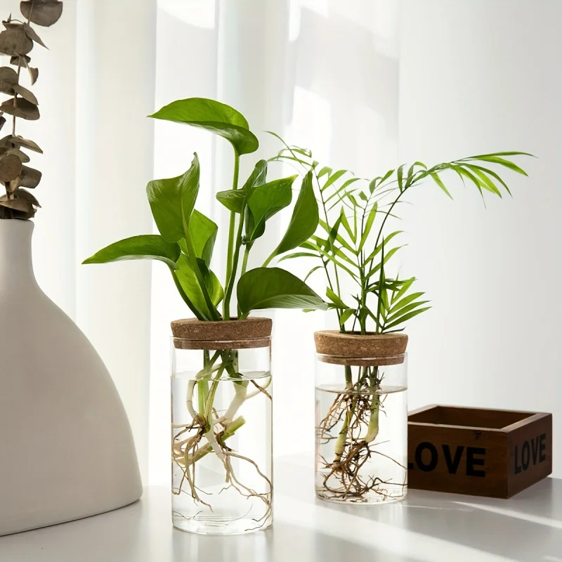 1個、水耕植物デスクトップガラスプランター花瓶家の装飾用、植物繁殖ステーションつぼみ花瓶、デスクトップ水耕栽培