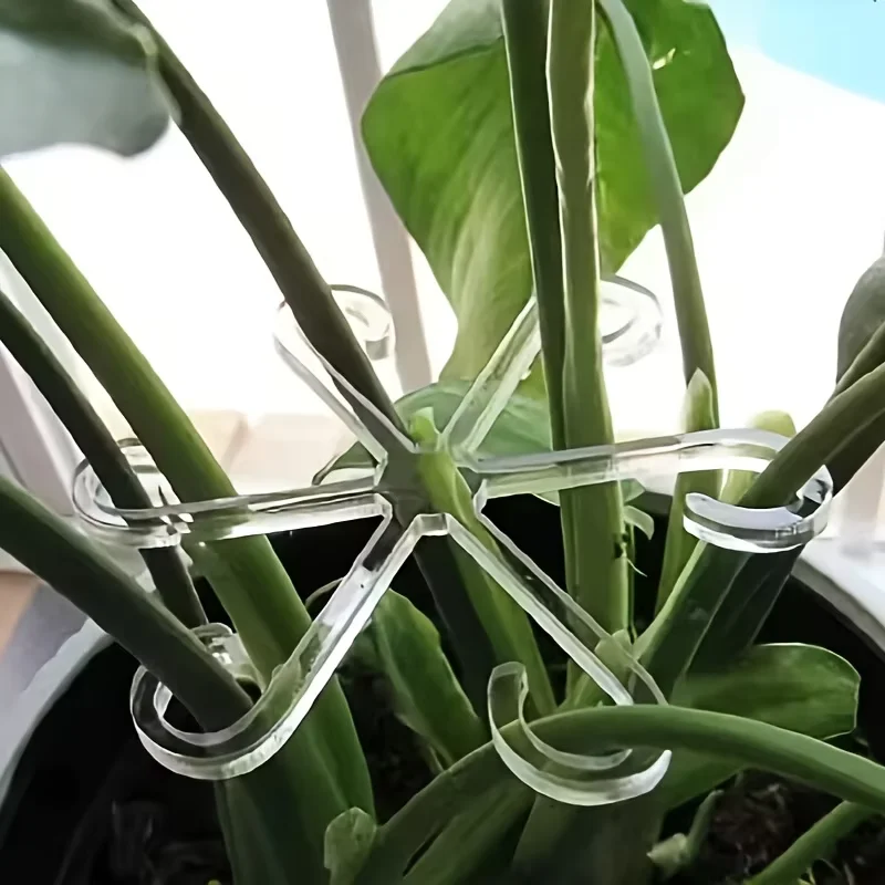 1 supporto per piante sospese di grandi dimensioni, ganci in ferro, adatto per la decorazione di vasi da fiori, accessori per piante per uso interno ed esterno